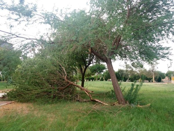گزارش تصویری/ طوفان شدید خوزستان که موکبهای زائران اربعین را هم خراب کرد