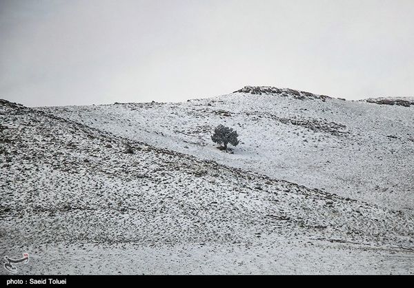 اصفهان| کاهش بیسابقه دما در 50 سال گذشته و بارش برف در اردستان