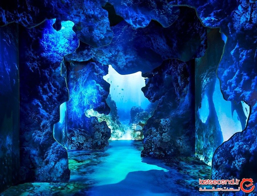 این نمایشگاه هنری سه‌بعدی و بسیار زیبا ما را به اقدامات زیست‌محیطی دعوت می‌کند